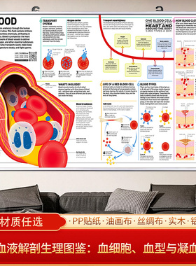 血液解剖生理图鉴图解生物学挂画科研用思维导图高清免打孔装饰画