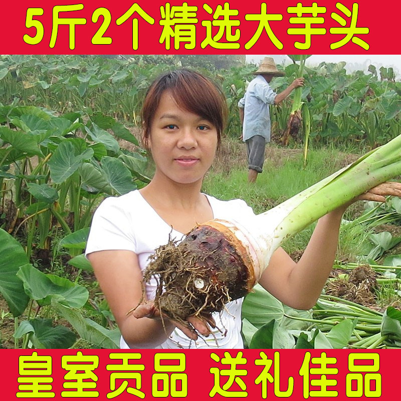 5斤2个正宗新鲜广西桂荔浦芋头槟榔芋鲜芋仙香芋毛芋头农家特产免