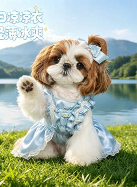马尔泰犬宠物狗狗冰丝宠物衣服小型犬夏天薄款公主裙漂亮2026新款