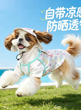 马尔泰犬宠物狗狗冰丝宠物衣服小型犬夏天薄款公主裙漂亮2026新款