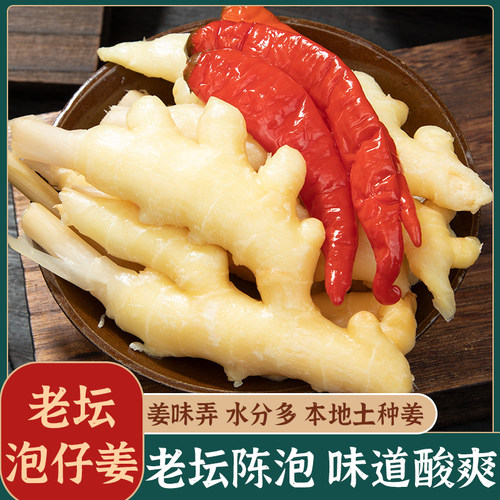 四川正宗老坛泡仔姜、