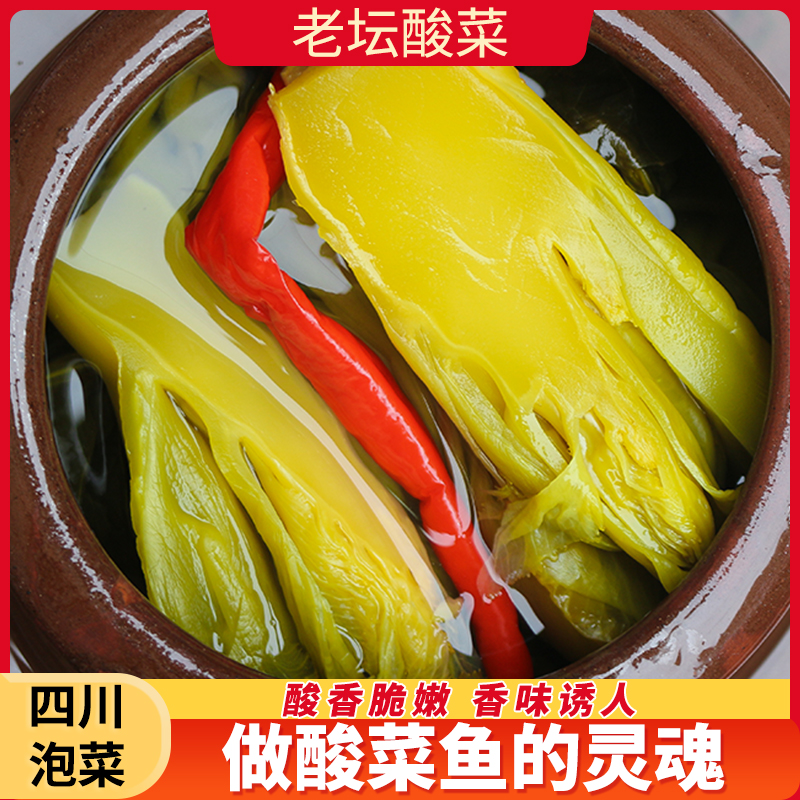 正宗四川泡菜酸菜鱼青菜