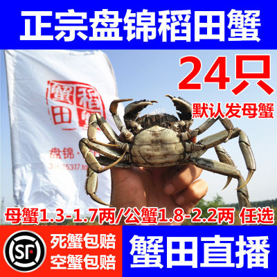只卖正宗盘锦本地稻田蟹盘锦河蟹