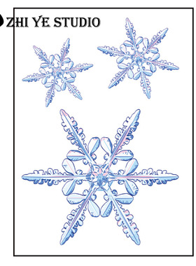 枝爷冰雪奇缘雪花纹身贴防水持久少女雪片白雪梦幻童话锁骨耳朵