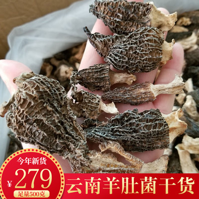 羊肚菌干货云南特产炖汤食材500g