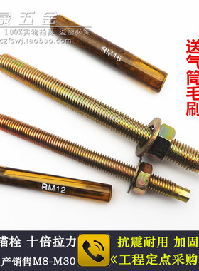 高强度化学锚栓膨胀螺丝不锈钢化学螺栓M8M10M12M14M16M18M20M243
