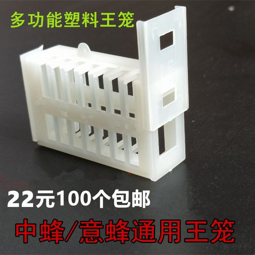 养蜂工具蜜蜂蜂王中蜂蜂箱蜂具