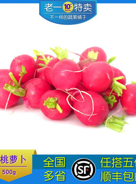 樱桃萝卜小红萝卜新鲜