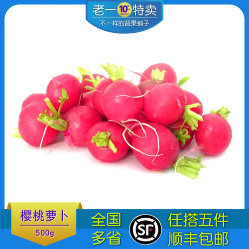 樱桃萝卜小红萝卜新鲜