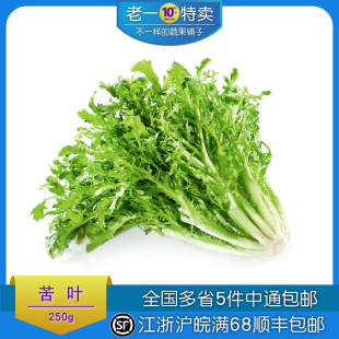 半斤 沙拉菜 苦菊 苦叶 250克 老一特卖 苦菜生菜家庭装 新鲜