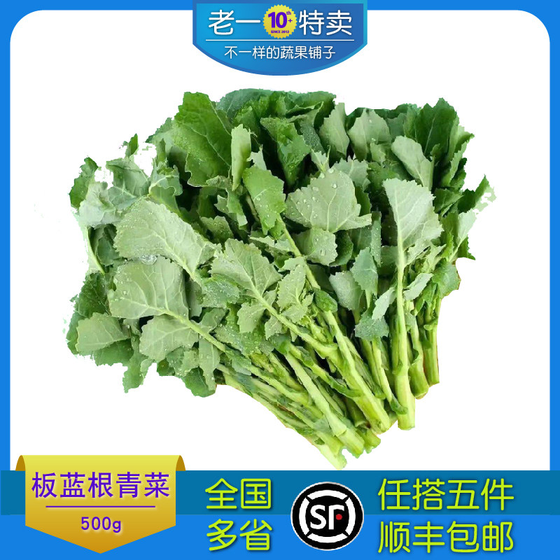 新鲜板蓝根青菜菘油1号白灼盐水板蓝根酒店特色食材鲜脆清甜,水产肉类/新鲜蔬果/熟食,叶菜类,淘宝优惠券,粉丝福利购,淘宝优惠卷