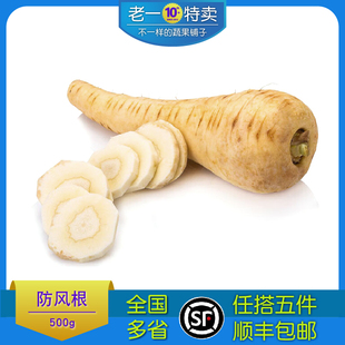 新鲜防风根白胡萝卜parsnip 欧洲萝卜