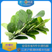 老一特卖新鲜柠檬叶100克泰餐厅 有刺易扎人请小心冬阴功香料