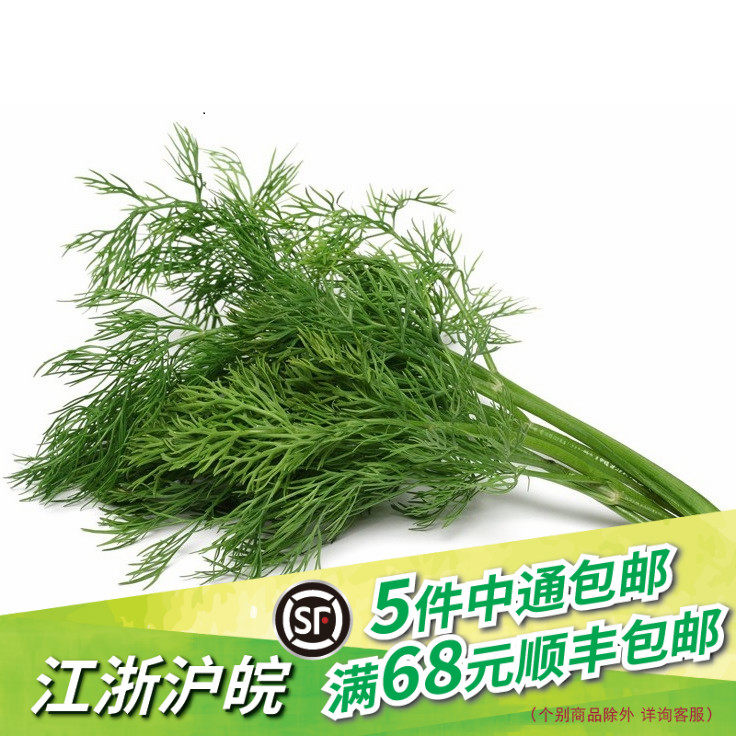老一特卖新鲜莳萝草dill刁草土茴香莳罗250g 老一特卖生鲜店 淘优券