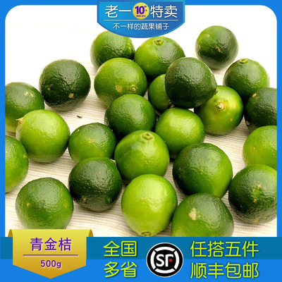 老一特卖海南小金桔小金橘500g