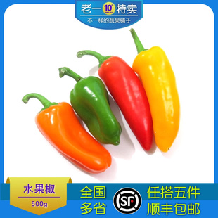 彩椒新鲜水果椒 小彩椒 500g颜色随机 甜椒迷你小辣椒