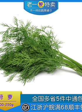 老一特卖  新鲜莳萝草 Dill刁草 土茴香 莳罗 250g