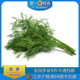 莳罗 老一特卖 土茴香 Dill刁草 250g 新鲜莳萝草