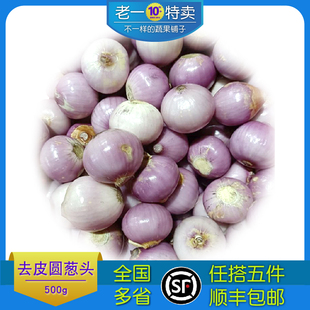 新鲜去皮小洋葱 去皮小圆葱 干葱头 圆葱头