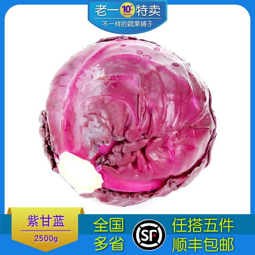 新鲜沙拉菜紫甘蓝紫包球