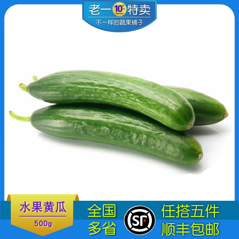 老一特卖 迷你黄瓜 小黄瓜500g 荷兰黄瓜新鲜水果黄瓜,水产肉类/新鲜蔬果/熟食,黄瓜,淘宝优惠券,粉丝福利购,淘宝优惠卷