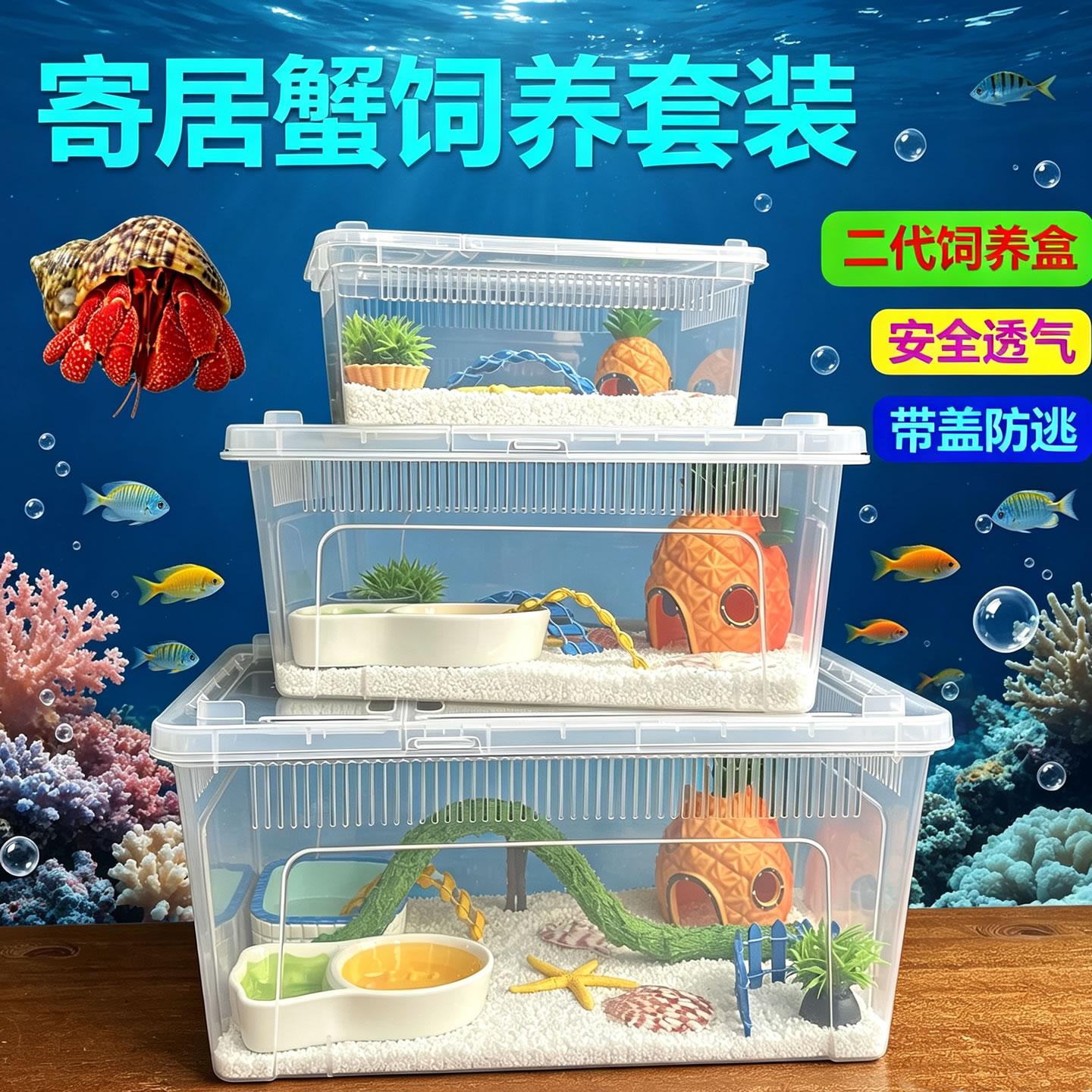 寄居蟹养殖套装饲养箱家养宠物蟹