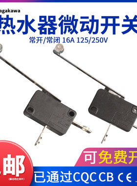 防干烧16a银点水位保护微动开关