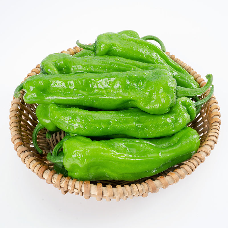 辣椒,本地辣椒,薄皮椒,炒菜