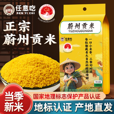 任意吃黄小米新米蔚县小米蔚州贡米农家小米大白谷小米小米粥真空