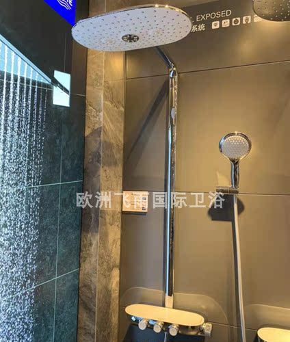 德国原装进口瑞雨恒温花洒恒温淋浴系统26250000  26250LS0现货