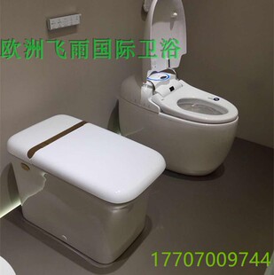 0232 瑞士品牌 E520 马桶 雅典娜智能坐便器