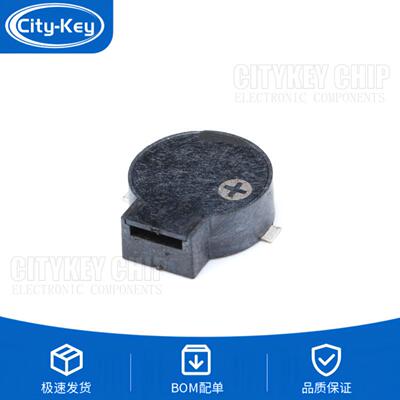 原装【Citykey】90329.0*3.2MM