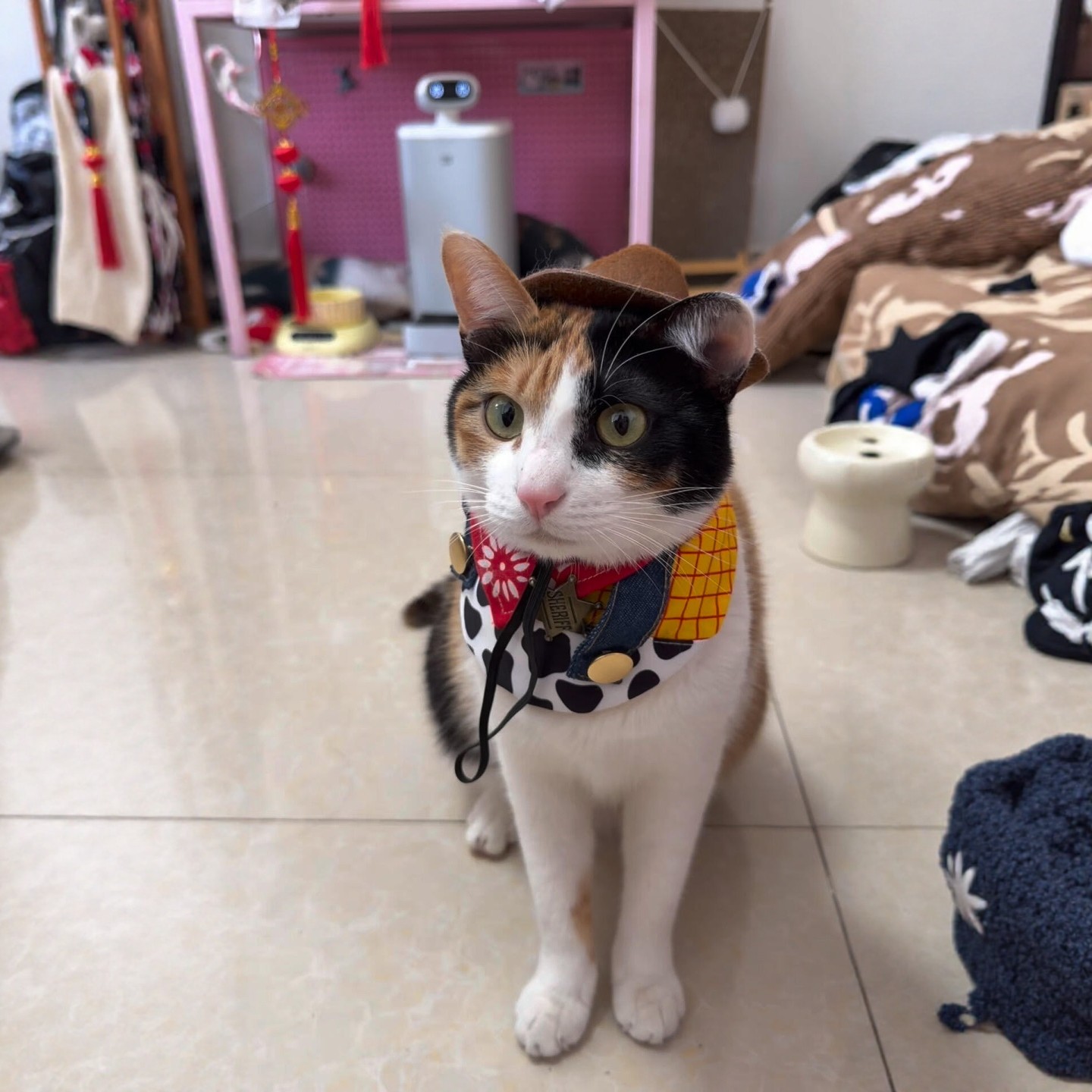 开门同款！！咱家孩子也要~.宠物口水巾可爱网红卡通牛仔围脖装饰,宠物/宠物食品及用品,围巾/口水巾,淘宝优惠券,粉丝福利购,淘宝优惠卷