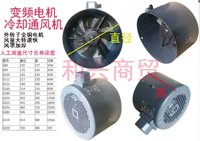 G型变频电机通风机风扇