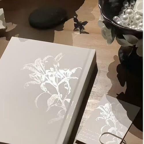 ins记事本加厚B6日程本