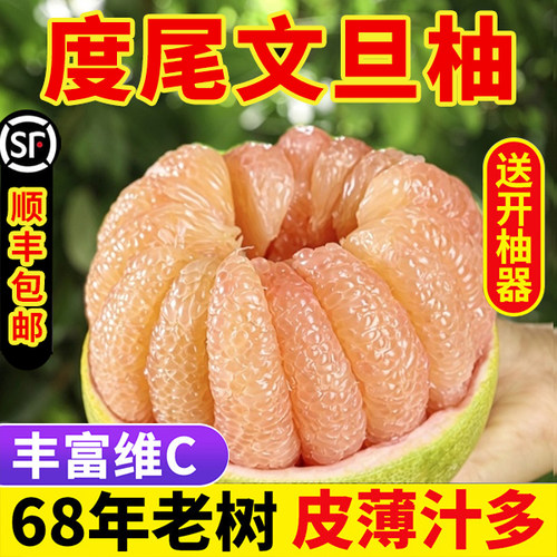 莆田度尾文旦柚老树红心