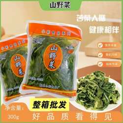 山野菜苦菜凉菜饭店半成品野菜食材商用苦苦菜曲麻菜整箱