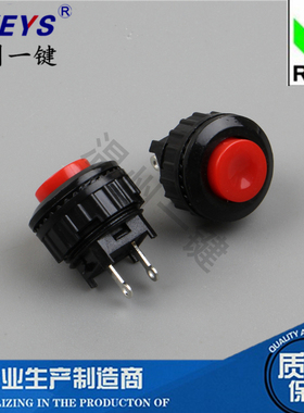 DS-500电源按钮按通 开孔14MM红色 绿  无锁连接器自复位常开