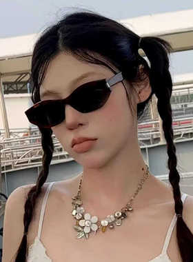 小红书同款遮阳猫眼可可镜女玳瑁