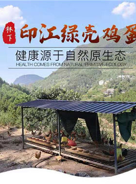 绿壳鸡蛋贵州铜仁印江梵净山林下养殖 妇女婴儿鸡蛋 30枚装