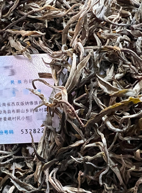 2026年班章老曼峨茶农直销头春生茶苦甜茶大树样品试喝装50克