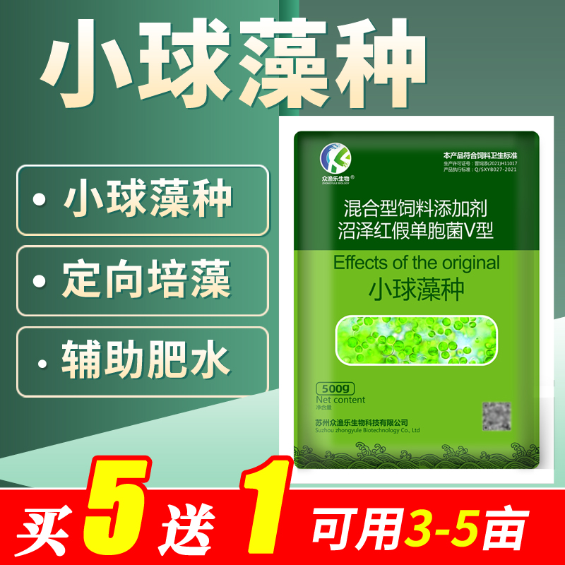 小球藻原种水产养殖复合藻种肥水培藻蛋白核卵囊藻调水绿藻藻种源