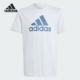 阿迪达斯正品 2025春季 新款 Adidas 大童圆领透气经典 舒适T恤IS2580