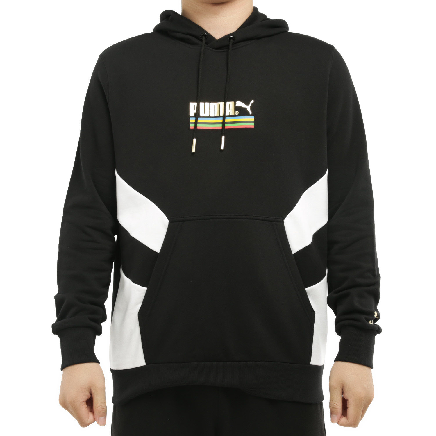 Puma/彪马正品男子烫金 LOGO 世界共振运动连帽衫卫衣599287