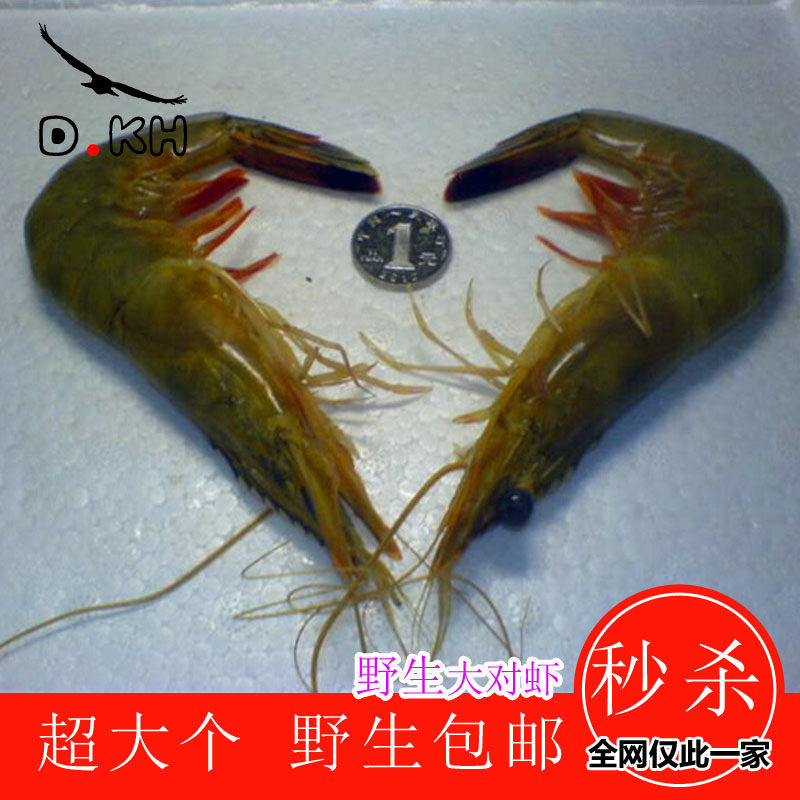 大虾鲜活冷冻特大号海虾鲜活速冻青岛南美对虾基围虾特大巨型虾