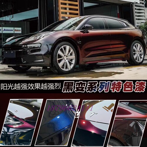鹦鹉黑变红黑变蓝翻新酷炫