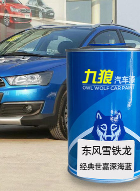九狼原车雪漆铁龙珠光黑世嘉白色深海蓝碳晶黑汽车翻新修补喷烤漆