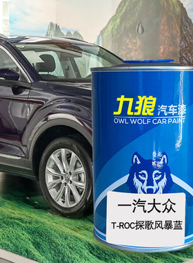 九狼汽车漆大成品众改色车喷烤漆探雅士银色风暴蓝歌卡库金烈焰橙