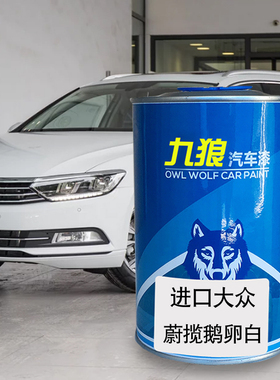 九狼汽车漆大成品众改色车喷烤漆蔚途揽岳鹅软白湖光蓝水墨灰橙色