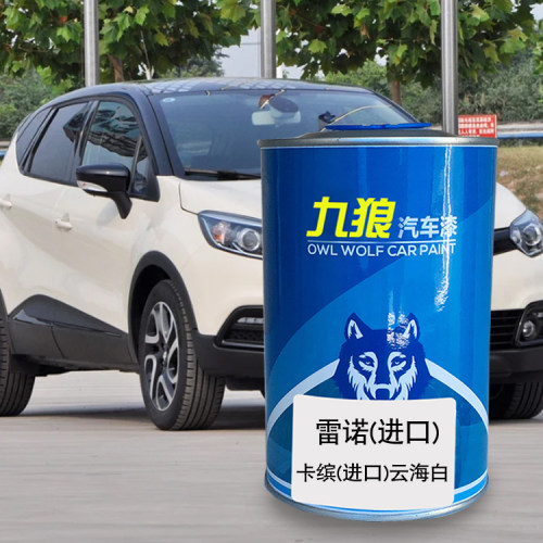九狼汽车漆雷成诺品漆喷4S店漆风云海白檀木棕朗珍珠白卡摩卡棕缤